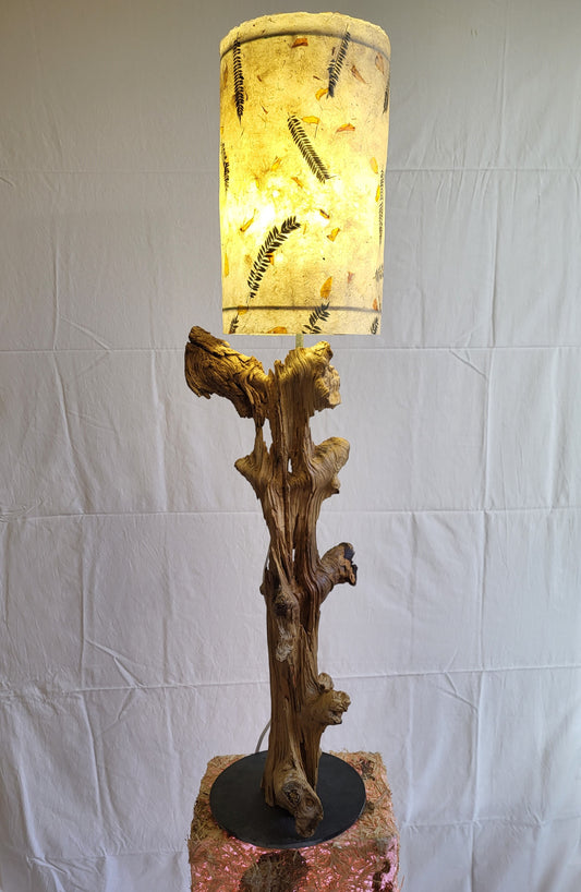 Coral Lamp from Monte Perdido